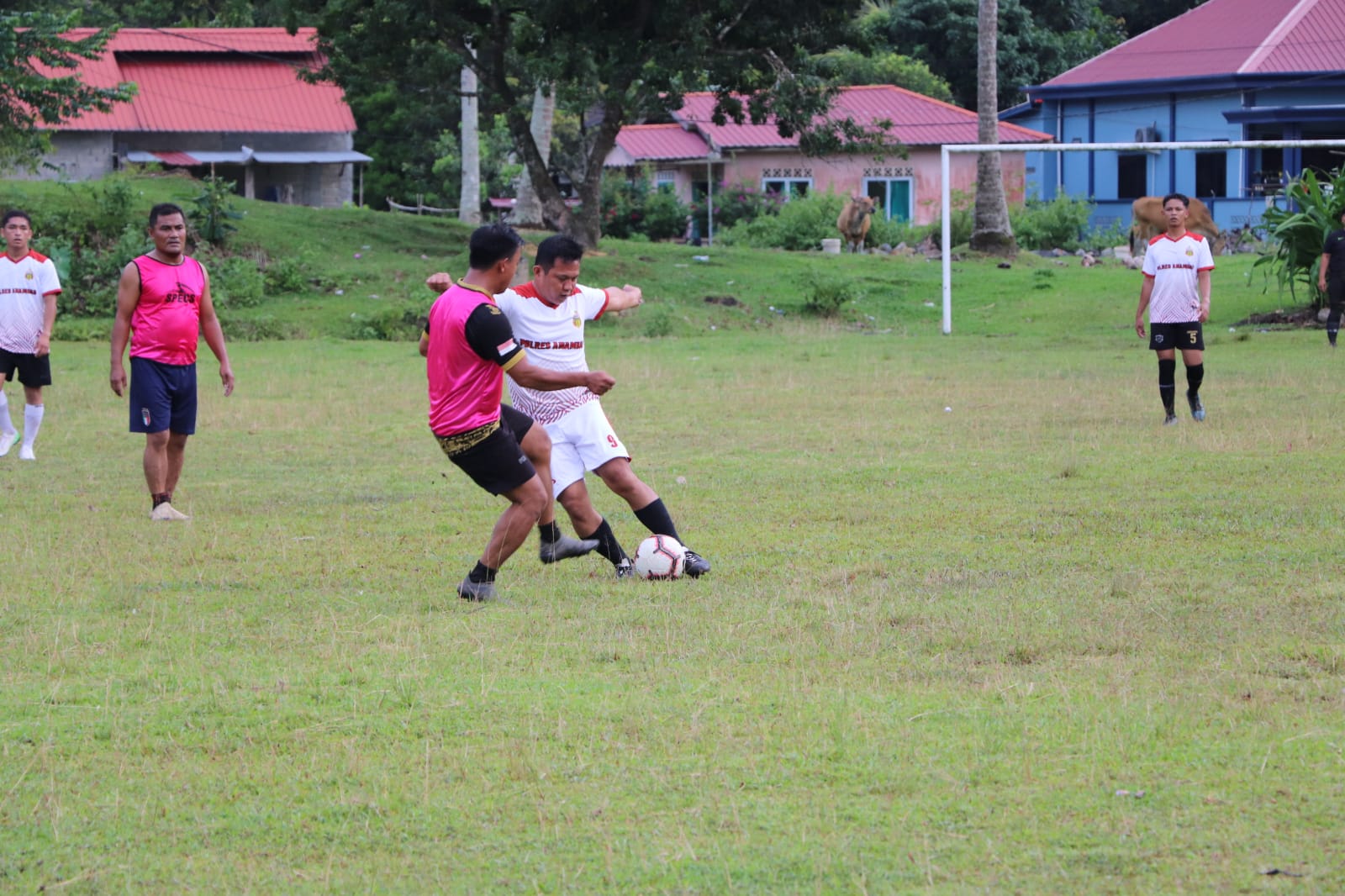 IMG-20211023-WA0041
