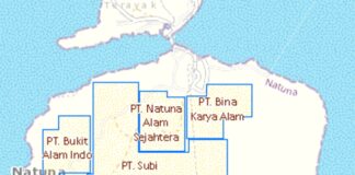 Daftar Empat Perusahaan Tambang Pasir Kuarsa di Kecamatan Subi