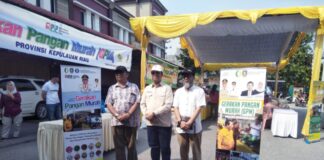 Wakil Bupati Karimun Tinjau Pasar Murah di Sungai Lakam