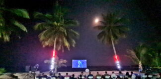 Malam Budaya, Danlanud RSA Nobar Pertunjukan Wayang Secara Virtual dari Pantai Raptor