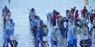 Tanam Mangrove di Pantai, Danlanud RSA Disapa Presiden RI