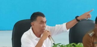 Instruksi Presiden RI, Ini Sejumlah Pembangunan Jalan dan Jembatan Usulan Bupati Natuna