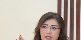 Nataru di Batam, Arus Balik Penumpang Kapal Meningkat Signifikan