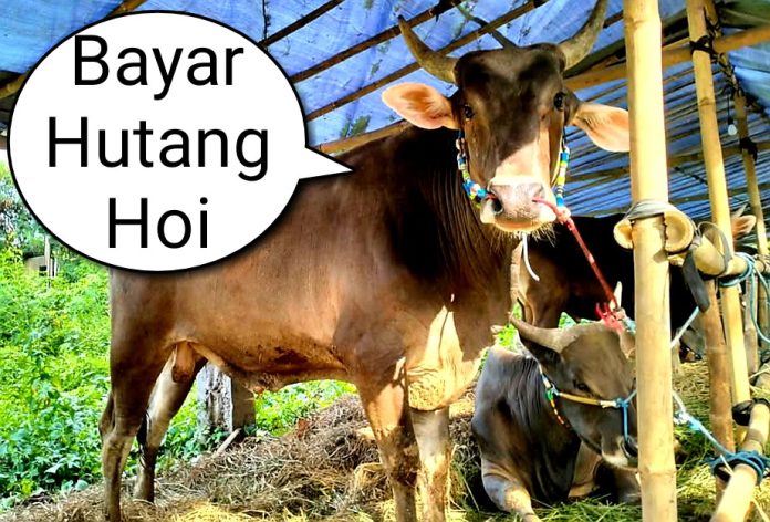 1747503631-picsay