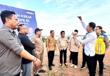 DED Jembatan Penghubung Pulau Batam – Tanjungsauh, Kepala Dinas PUPP Kepri, Bakal Rampung Tahun Ini