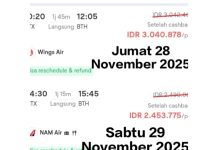 Tiket Pesawat Natuna “Maju” ke Batam, Satu Jam Terbang, Harga Berkisar Rp2,4 Juta Hingga Rp3 Juta (1)