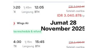 Tiket Pesawat Natuna “Maju” ke Batam, Satu Jam Terbang, Harga Berkisar Rp2,4 Juta Hingga Rp3 Juta (1)