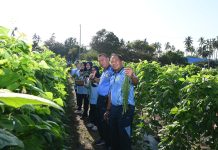 Panen Timun dan Kacang Panjang, Danlanud RSA Natuna Dukung Ketahanan Pangan Nasional