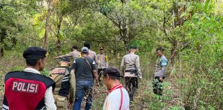 Patroli Jalan Kaki di Hutan, Kapolsek Midai Antisipasi Kebakaran Lahan