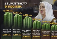 Bukan Termiskin di Kepri, Cen Sui Lan Bupati Terkaya Kedua di Indonesia
