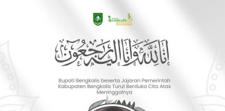 Bupati Bengkalis Berduka Gugurnya Pejuang Karhutla di Medan Tugas