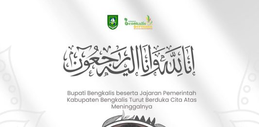 Bupati Bengkalis Berduka Gugurnya Pejuang Karhutla di Medan Tugas