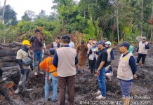 PT CSA Klaim Tidak Sengaja, Pemkab Lingga Minta Hentikan Gusur Lahan Sagu Milik Warga Pekaka