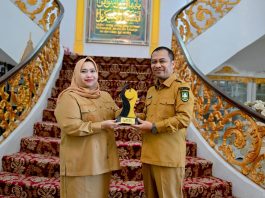 Bupati Bengkalis Terima Penghargaan Apresiasi Pemerintah Daerah Berprestasi 2026