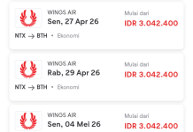 Tiket Pesawat Natuna “Maju” ke Batam Stabil Mahal, Tertinggi Rp3 Jutaan (2)