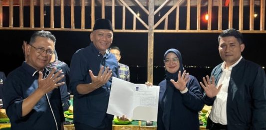 Sah, Maya Sari Ditetapkan Sebagai Ketua DPD Partai NasDem Lingga