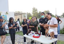 Gelar PawSAFE 2026, Pawtaxi Edukasi Pemilik Hewan Hadapi Kondisi Darurat Peliharaannya