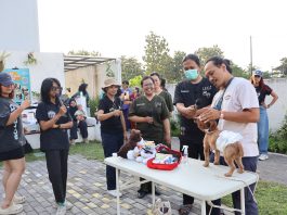 Gelar PawSAFE 2026, Pawtaxi Edukasi Pemilik Hewan Hadapi Kondisi Darurat Peliharaannya