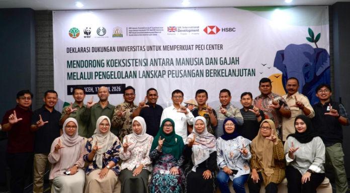 Enam Universitas di Indonesia dan Mancanegara Sepakat Riset Konservasi Gajah Sumatera