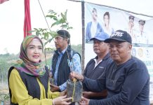 BKOW Kepri Bagikan 700 Bibit Perkebunan ke Kelompok Tani Cikolek, Toapaya Selatan