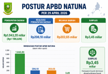 APBD Natuna 29 April 2026, dari Rp1 Triliun, Realisasi Rp206,10 Miliar, Belanja Rp202,65 Miliar, Surplus Rp3,45 Miliar