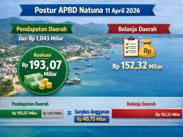 Postur APBD Natuna 11 April 2026, dari Rp1 Triliun, Realisasi Rp193,07 Miliar, Belanja Rp152,32 Miliar
