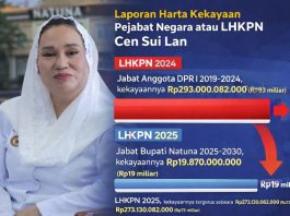 LHKPN 2025, Kekayaan Bupati Natuna Cen Sui Lan Tergerus Sekitar Rp273 miliar