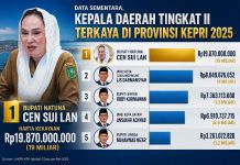 Sementara, Cen Sui Lan, Kepala Daerah Tingkat II Terkaya di Kepri