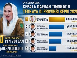 Sementara, Cen Sui Lan, Kepala Daerah Tingkat II Terkaya di Kepri