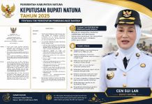 Luar Biasa Kewenangan TP2D Natuna, Sesuai SK Bupati Cen Sui Lan Ini Rinciannya