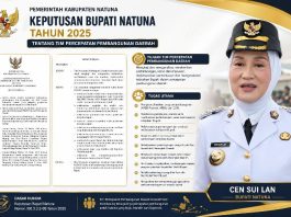 Luar Biasa Kewenangan TP2D Natuna, Sesuai SK Bupati Cen Sui Lan Ini Rinciannya