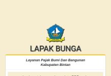 Mau Bayar PBB di Bintan, Silahkan Klik Aplikasi LAPAK BUNGA