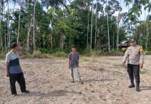 Bhabinkamtibmas Polsek Bukit Batu Tinjau Lahan Penanaman Jagung di Desa Tenggayun