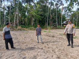 Bhabinkamtibmas Polsek Bukit Batu Tinjau Lahan Penanaman Jagung di Desa Tenggayun