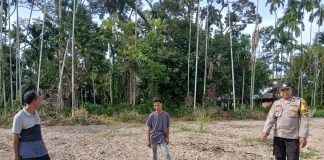 Bhabinkamtibmas Polsek Bukit Batu Tinjau Lahan Penanaman Jagung di Desa Tenggayun