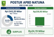 APBD Natuna 12 Mei 2026, dari Rp1 Triliun, Realisasi Rp264,09 Miliar, Belanja Rp239,90 Miliar, Surplus Rp24,19 Miliar