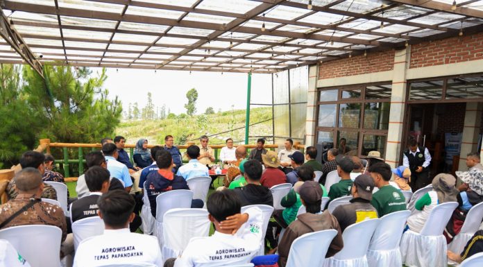 Perluas Peluang Kerja Warga Garut, Kemnaker Siapkan Pelatihan Agroforestry