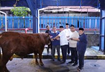 Siapkan 93 Hewan Kurban, Menaker: Momen Idul Adha Perkuat Kepedulian dan Kinerja