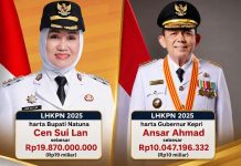 LHKPN 2025, Harta Bupati Natuna Cen Sui Lan di Atas Gubernur Kepri Ansar Ahmad, Ini Rinciannya: