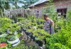 Kapolsek Bukit Batu Kunjungi Ladang Cabai di Desa Pangkalan Jambi