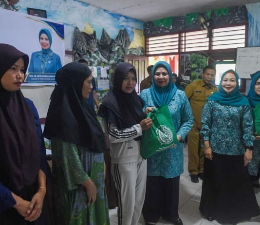 Dewi Ansar Serahkan Bansos Terdampak Malaria di Tanjung Sebauk
