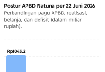 APBD Natuna 22 Juni 2026, dari Rp1 Triliun, Realisasi Rp283,18 Miliar, Belanja Rp323,68 Miliar, Defisit Rp40,5 Miliar