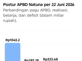 APBD Natuna 22 Juni 2026, dari Rp1 Triliun, Realisasi Rp283,18 Miliar, Belanja Rp323,68 Miliar, Defisit Rp40,5 Miliar