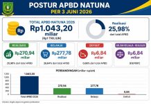 APBD Natuna 3 Juni 2026, dari Rp1 Triliun, Realisasi Rp270,94 Miliar, Belanja Rp277,78 Miliar, Defisit Rp6,84 Miliar