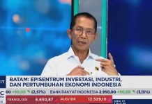Batam Kian Dilirik Investor, Amsakar Ungkap Kunci Lonjakannya
