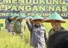 Panen Raya TNI di Siak Kecil, Wabup Bengkalis Komitmen Bengkalis Dukung Ketahanan Pangan Nasional