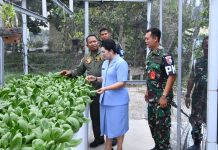 PIA AG Lanud RSA Natuna Panen Sawi Pakcoy, Marsma Onesmus: Dukung Program Ketahanan Pangan
