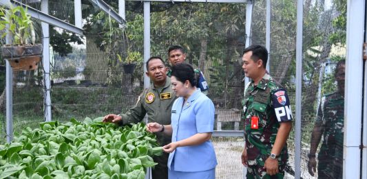 PIA AG Lanud RSA Natuna Panen Sawi Pakcoy, Marsma Onesmus: Dukung Program Ketahanan Pangan