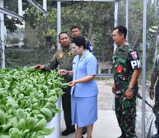 PIA AG Lanud RSA Natuna Panen Sawi Pakcoy, Marsma Onesmus: Dukung Program Ketahanan Pangan