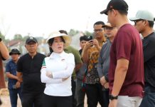 Tinjau Drainase dan PJU di Batam, Li Claudia Gesa Penanganan Banjir dan Penerangan Jalan